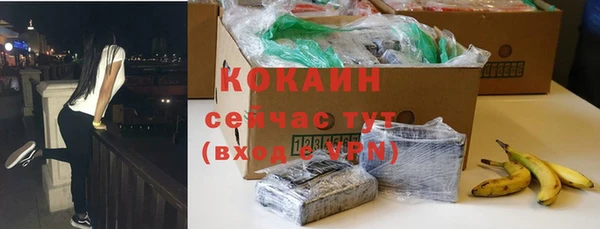 хмурый Абаза