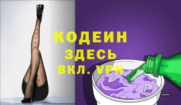 хмурый Абаза