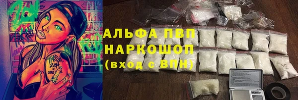 хмурый Абаза