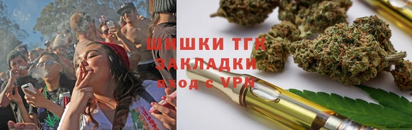 хмурый Абаза