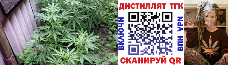 купить  цена  Данилов  Дистиллят ТГК гашишное масло 
