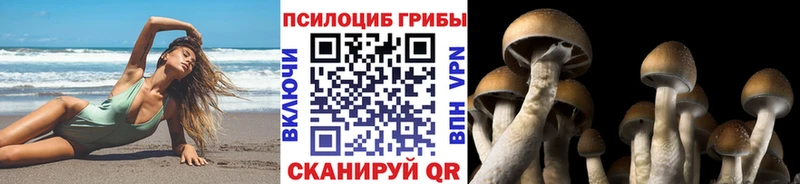 Псилоцибиновые грибы прущие грибы  Данилов 