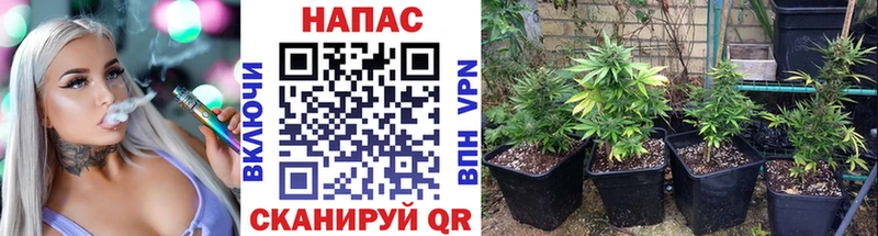 Марихуана марихуана  где купить наркоту  Данилов 